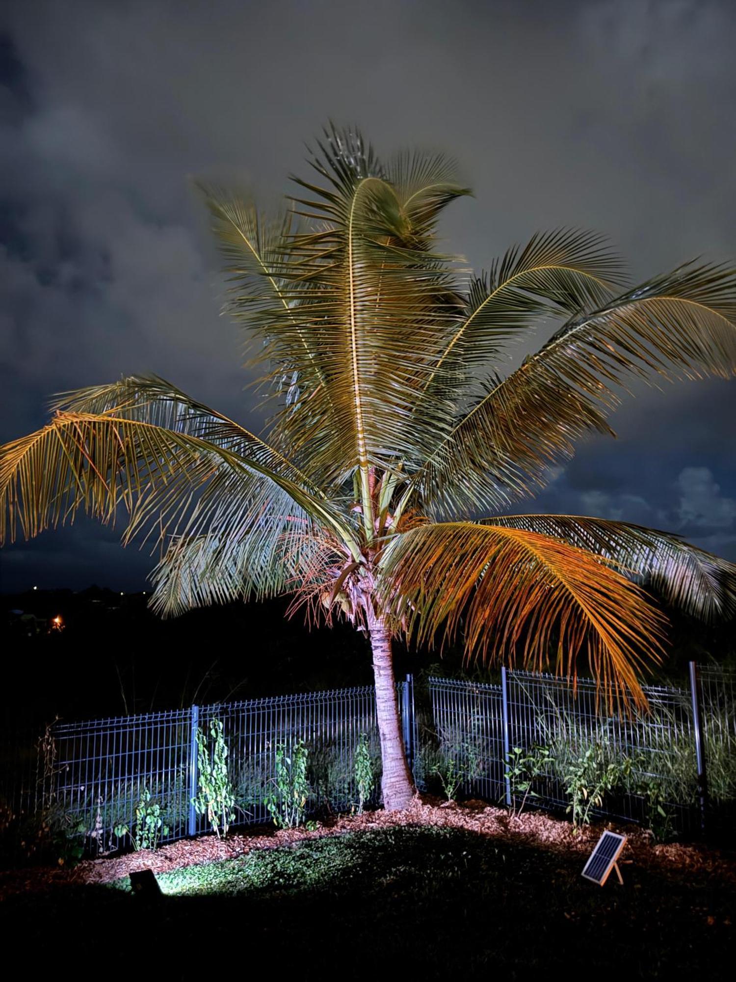 L'escapade * Saint-Francois (Grande-Terre)